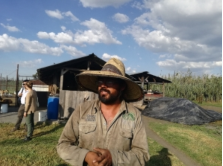 Agricultor de aceite de palma